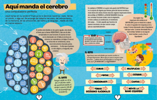 EXPLORA EL CUERPO HUMANO - Imagen 3