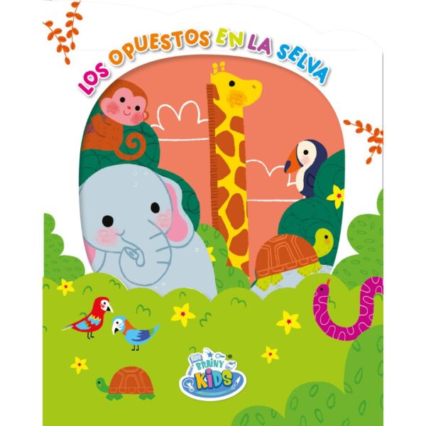 Colección "Miro por mi ventana" – Pack de 4 libros interactivos - Imagen 6