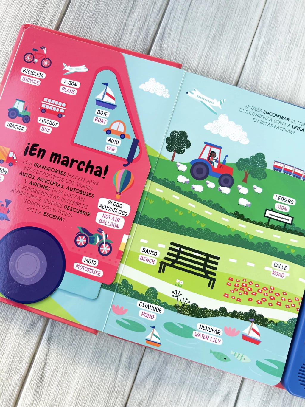 Libro “Así Suena Mi Mundo” - Bilingüe - Imagen 3