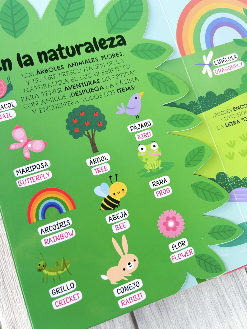 Libro “Así Suena Mi Mundo” - Bilingüe - Imagen 8