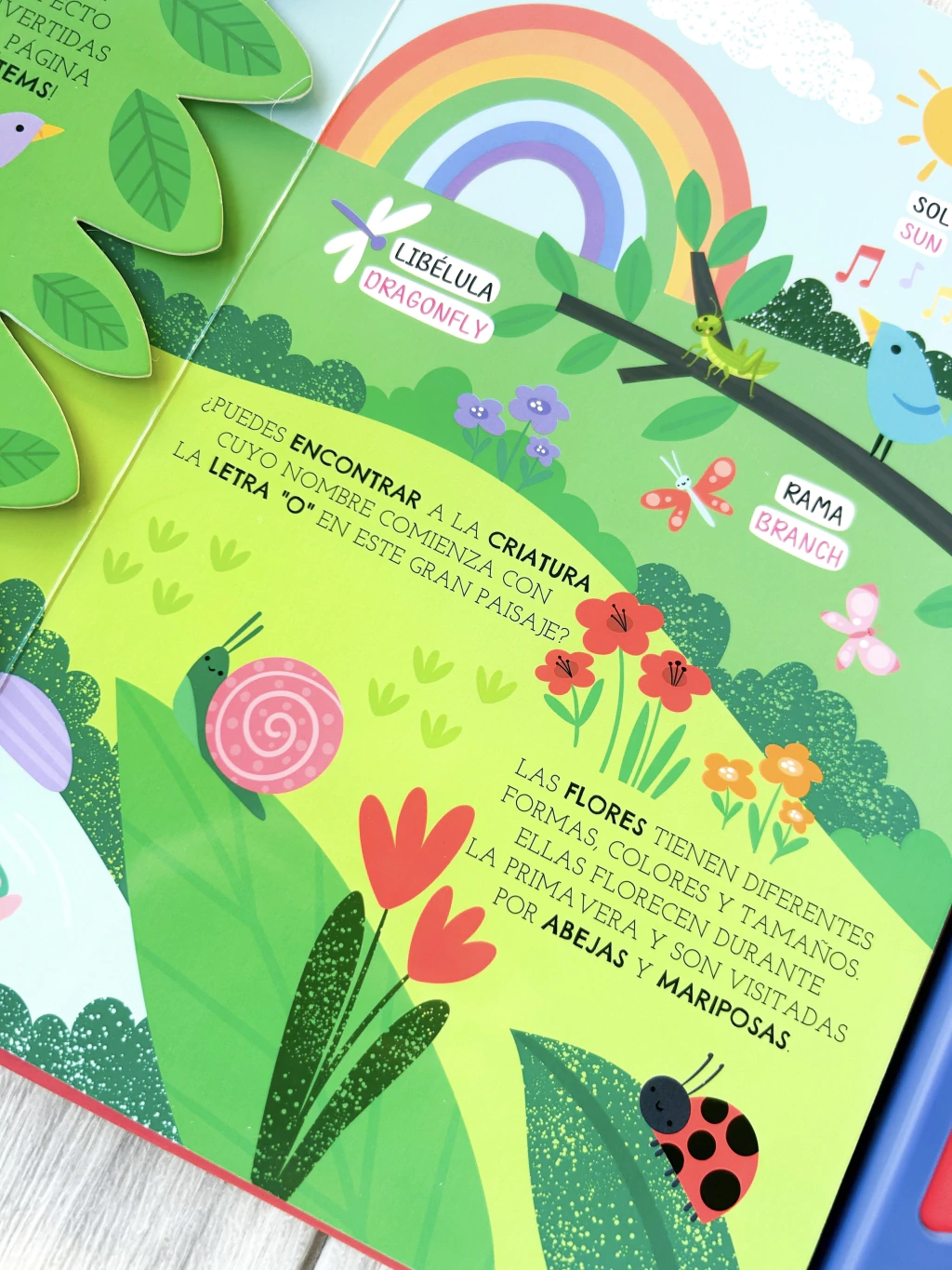 Libro “Así Suena Mi Mundo” - Bilingüe - Imagen 9